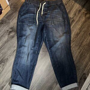 Judy Blue Dark Wash Jogger